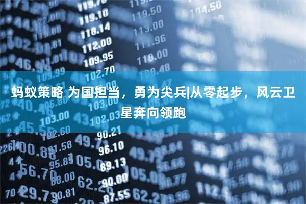 蚂蚁策略 为国担当，勇为尖兵|从零起步，风云卫星奔向领跑